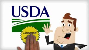 usda home loan requirements