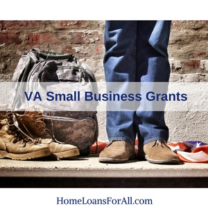 va small business grants