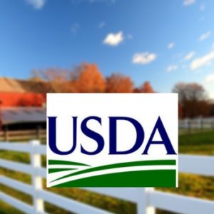 I have bad credit What do I do now_ - usda loan