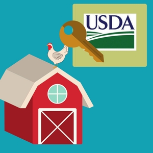 first time home buyer programs usda loans