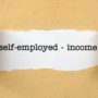 Fannie Mae Self Employed Guidelines for mortage borrowers