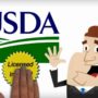 usda home loan requirements